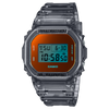 G-SHOCK DW5600TLS-8 Watch